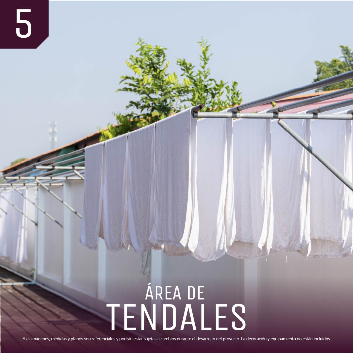 Mesa de trabajo 15-50.jpg (1)